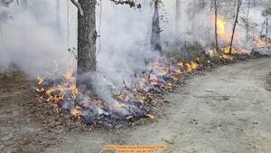 [Movie: Flames along the driveway (17M), 2026-01-06, 5-acre prescribed burn --jsq for OPF]