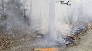 [Movie: Gretchen with a hose in the fire (7.2M), 2026-01-06, 5-acre prescribed burn --jsq for OPF]