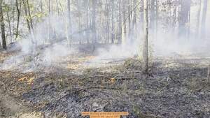 [Movie: Burning all the way around (10M), 2026-01-06, 5-acre prescribed burn --jsq for OPF]