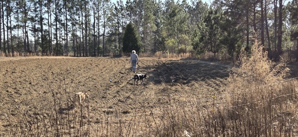 [Blondie, River, and Gretchen]