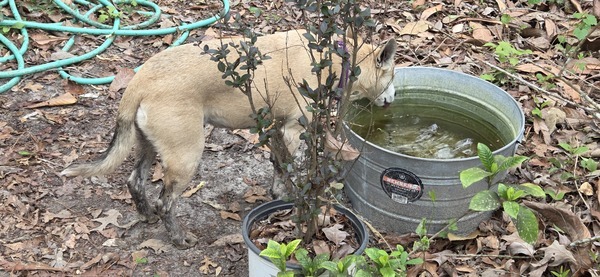 Sky still wearing mud boots