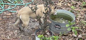 [Sky still wearing mud boots]