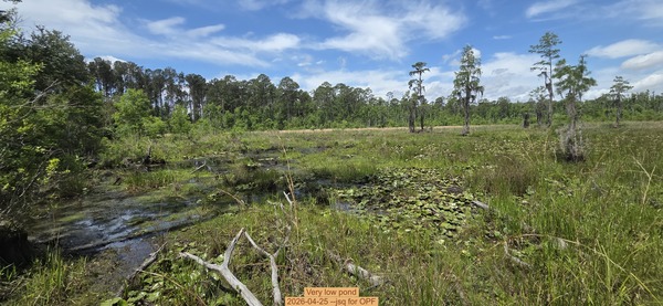 [Very low pond, 2026-04-25 --jsq for OPF]