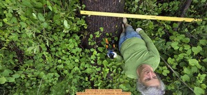 [24 inch Big oak, 2026:05:09 17:48:17, 31.0088238, -83.2692573]