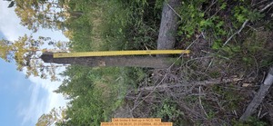 [Oak broke 6 feet up, 2026:05:10 19:36:31, 31.0128884, -83.2678103]