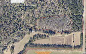 [02 cs Cypress Swamp, 4.6 acres, 2026-04-29 --OPF Tracts]