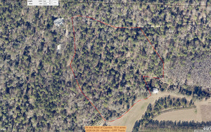 [04 wcs West of Cypress, 10.4 acres, 2026-04-29 --Swamp --OPF Tracts]