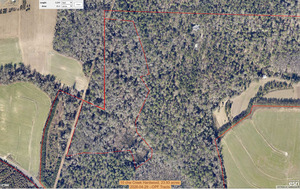 [10 chw Creek Hardwood, 23.93 acres, 2026-04-29 --OPF Tracts]